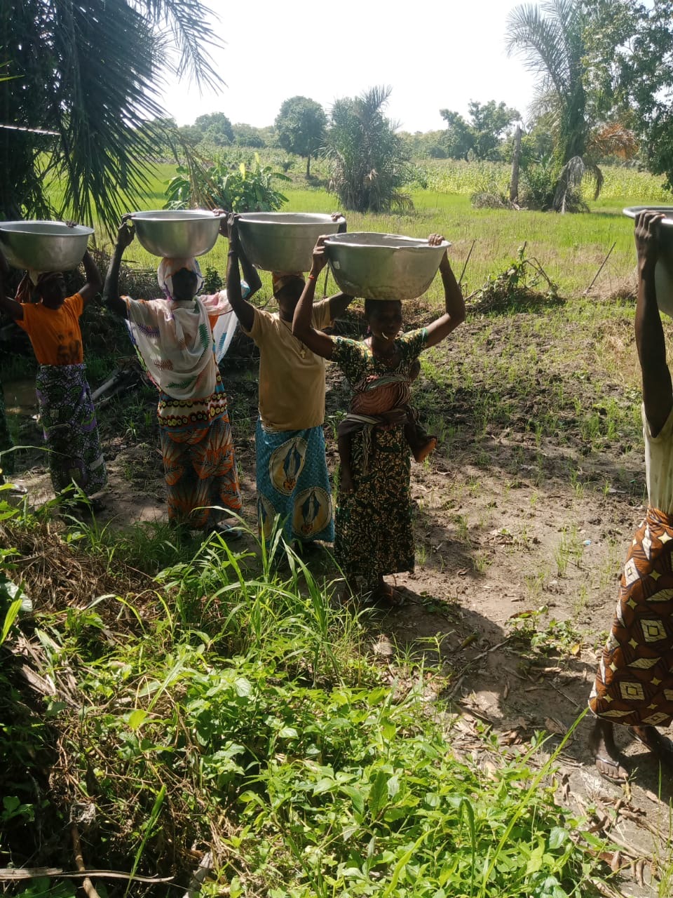 Women walking in a rural field, balancing large metal bowls on their heads under a sunny sky.